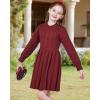 imageWULFUL Girls Sweater Dress Long Sleeve Button Pleated Casual Fall Winter Knit Dresses 512YWine Red