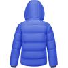 imageWULFUL Kids Boys Winter Coat Detachable Hat Puffer Windbreaker Warm Cotton Jacket Parka Down Outdoor CoatsBlue