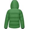 imageWULFUL Kids Boys Winter Coat Detachable Hat Puffer Windbreaker Warm Cotton Jacket Parka Down Outdoor CoatsGreen