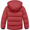 imageWULFUL Kids Boys Winter Coat Detachable Hat Puffer Windbreaker Warm Cotton Jacket Parka Down Outdoor CoatsRed