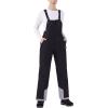 imageWULFUL Womens Insulated Snow Bibs Waterproof Winter Ski Pants Snowboarding OverallsBlack
