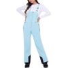 imageWULFUL Womens Insulated Snow Bibs Waterproof Winter Ski Pants Snowboarding OverallsSky Blue