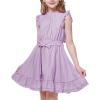 imageWULFUL Girls Summer Dress Sleeveless Ruffle Trim Aline Swing Dress Casual Party 514 YearsPurple